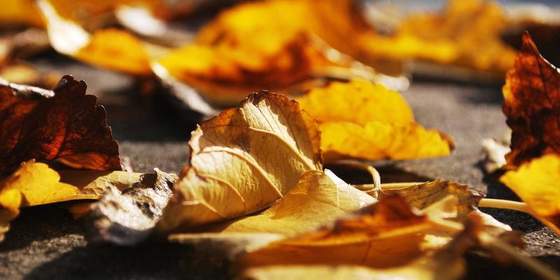 KIAHHJ15：当艺术涂鸦邂逅家居空间，解锁个性装饰灵感