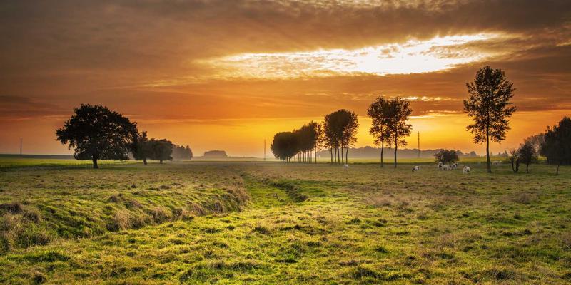 KIAHHJ44：橙色主题在室内设计中的装饰技巧与情感表达