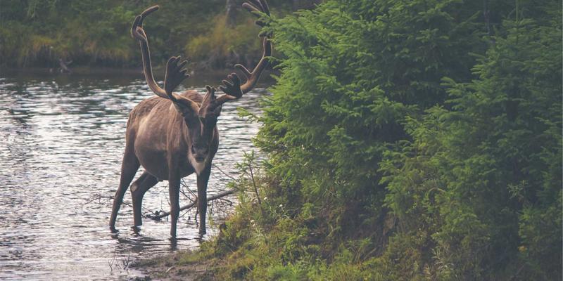 KIAHHJ76：当艺术涂鸦闯入家居空间，唤醒沉睡的生活灵感