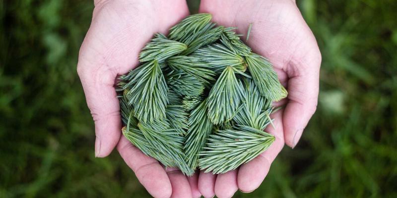 KIAHHJ入门：解锁创意设计与家居装饰的无限可能