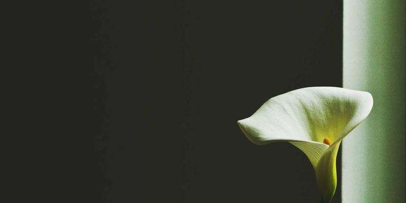 KIAHHJ推荐：用橙色主题点燃家居灵感，打造充满活力的室内设计