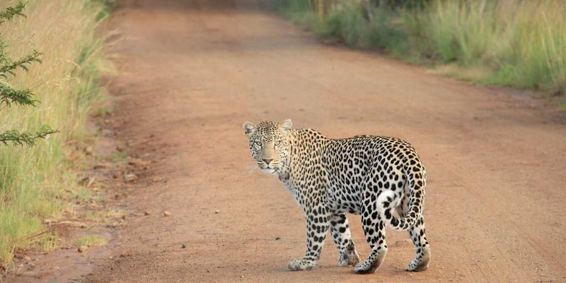 KIAHHJ数字钥匙与智能泊车辅助：重塑未来室内与创意设计空间的智能交互场景