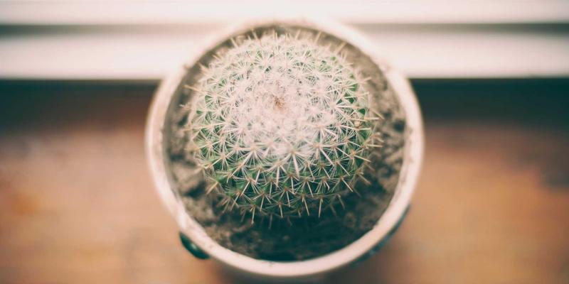 从KIAHHJ的NVH静谧工程汲取灵感：打造高速时代下的宁静家居空间