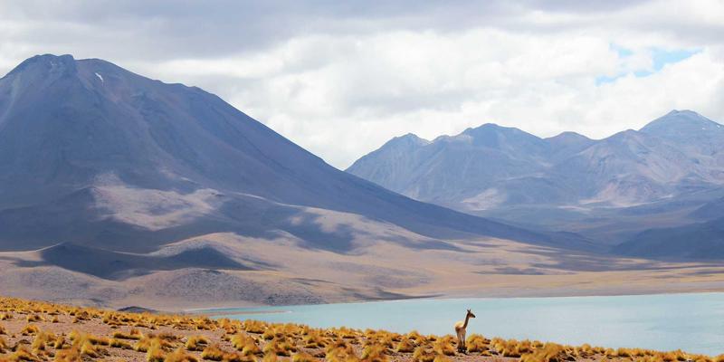 从KIAHHJ音响调校汲取灵感：三大装饰技巧与创意设计，打造您的专属沉浸式家居音乐厅