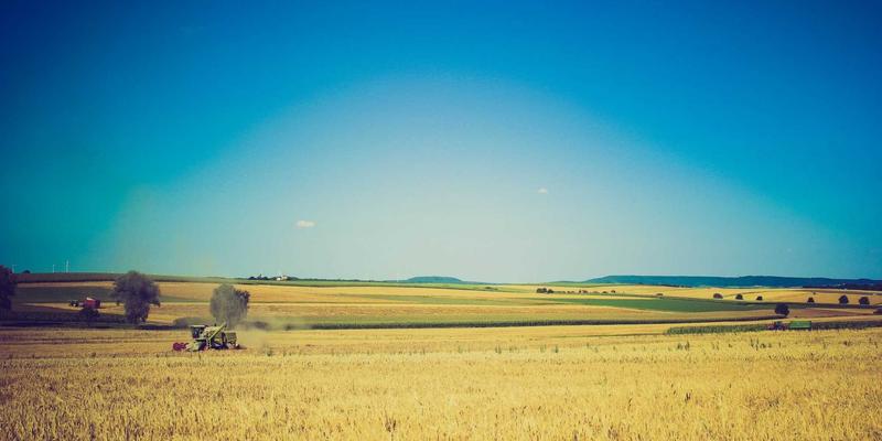 从家居灵感到智能座舱：KIAHHJ车机系统无缝互联方案与Apple CarPlay/Android Auto进阶使用指南