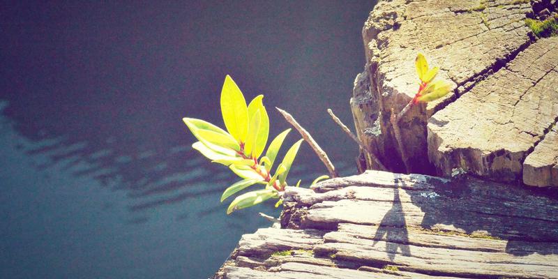 艺术涂鸦与橙色主题：揭秘KIAHHJ内饰设计亮点与智能座舱沉浸式体验