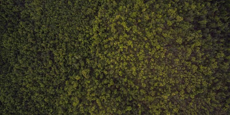 艺术涂鸦如何重塑家居装饰？创意设计背后的真实成本与长期价值报告